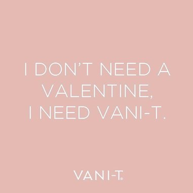 VANI-T Quote I don't need a valentine I need VANI-T